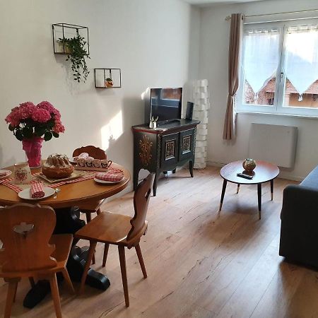 Le Passage Gite Cocooning A Colmar Centre Touristique Zewnętrze zdjęcie