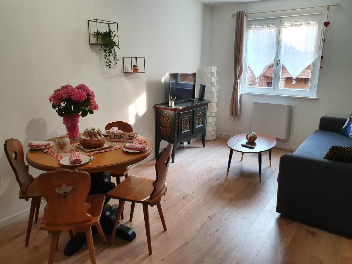 Le Passage Gite Cocooning A Colmar Centre Touristique Zewnętrze zdjęcie