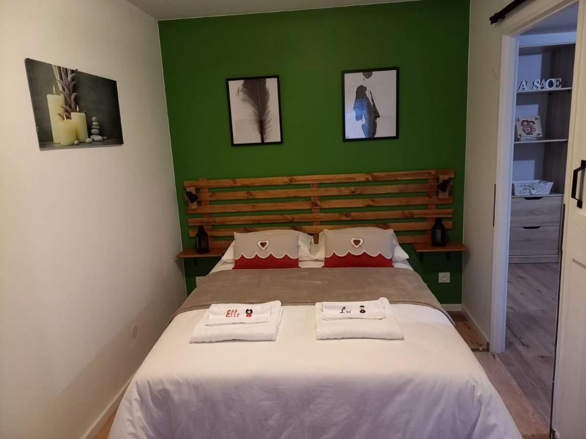 Le Passage Gite Cocooning A Colmar Centre Touristique Zewnętrze zdjęcie